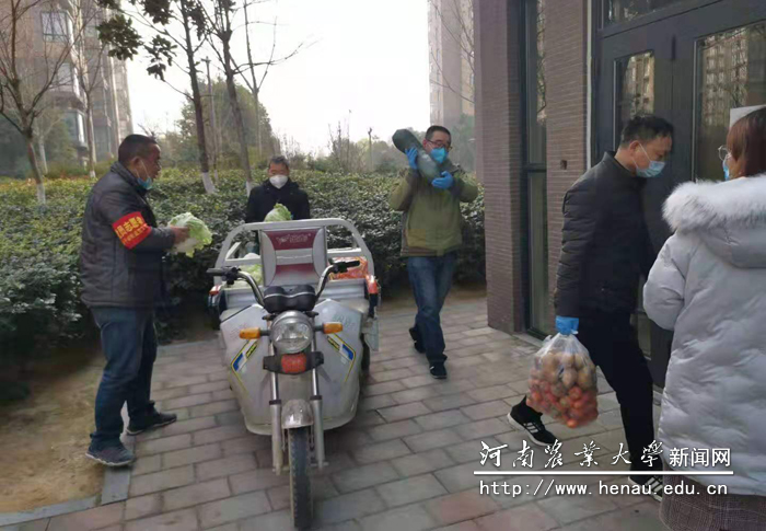 为隔离户送去爱心蔬菜 为隔离户送去爱心蔬菜
